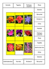 Bingo-Blumen-1B.pdf
